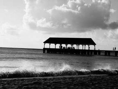 Dust Suppression Systems