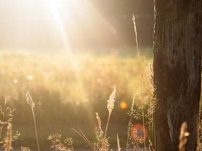 Industrial Blowers & Chimneys