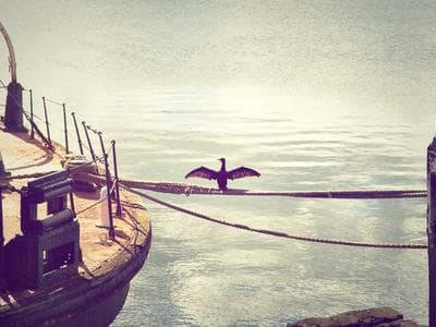 Engineering Consultancy