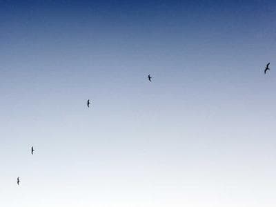 Pre-Engineering Buildings (PEB)