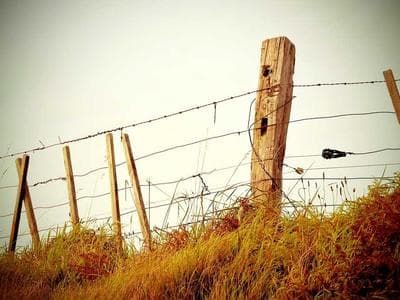 Sewage Treatment Plants (STP)